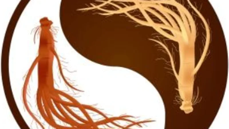 Ženšen – bylina nesmrteľnosti
