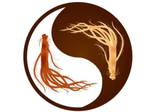 Ženšen – bylina nesmrteľnosti